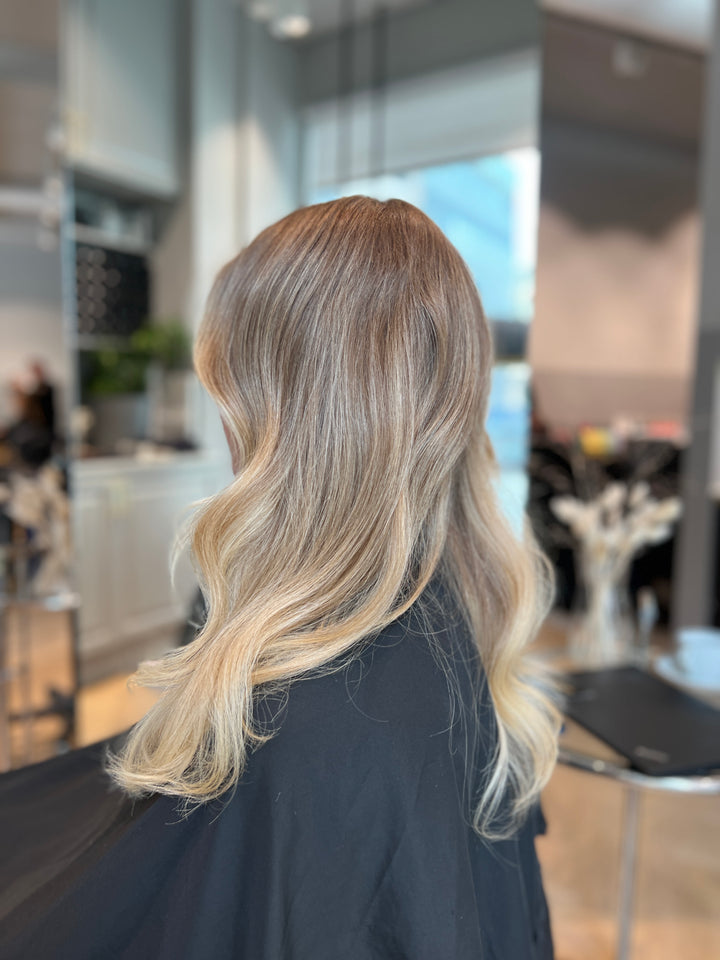 Reverse Balayage Kurs