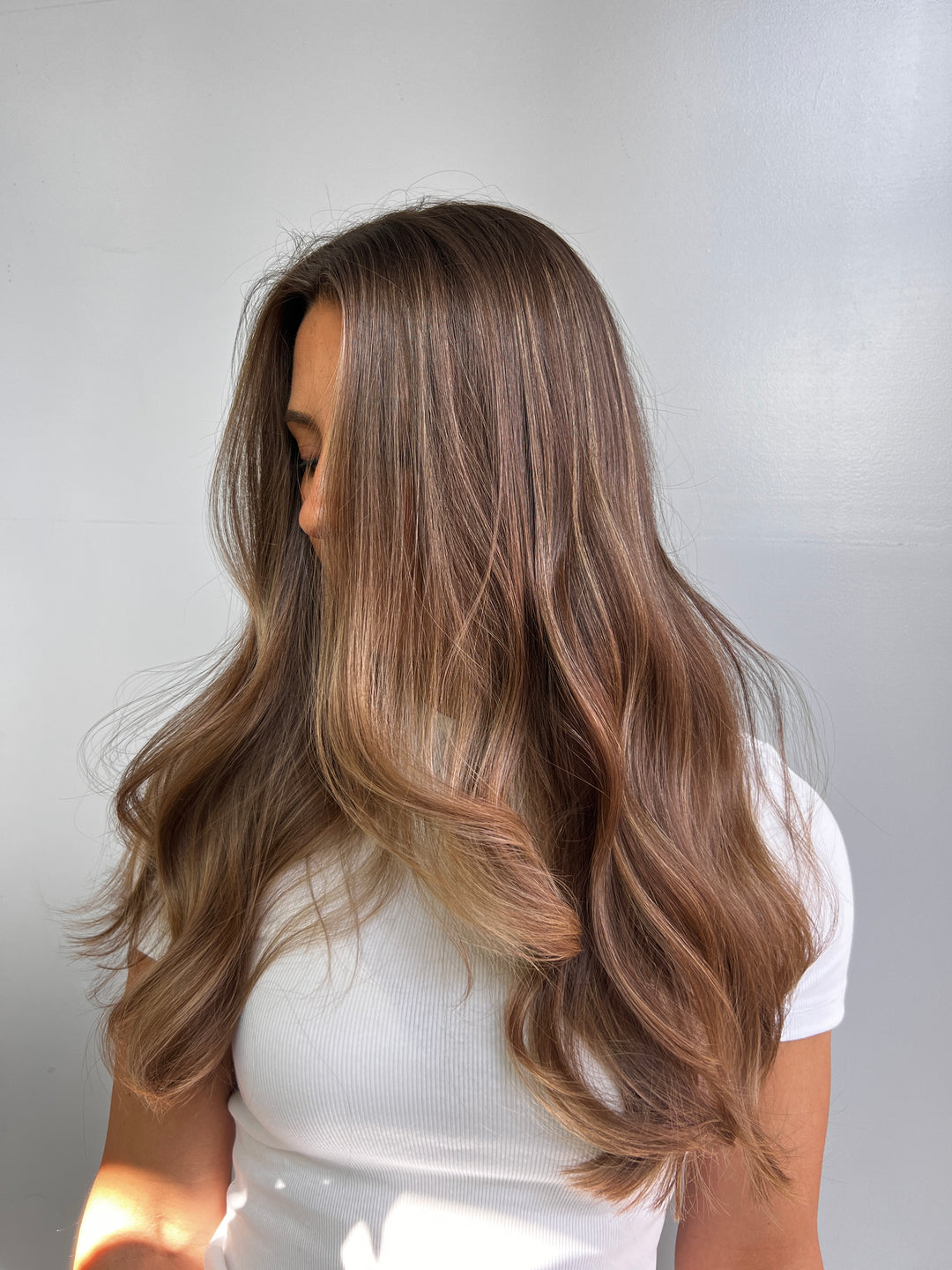 Reverse Balayage Kurs