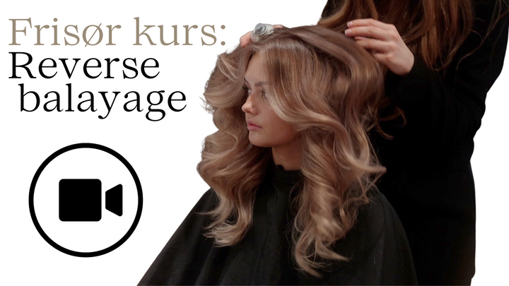 Reverse Balayage Kurs